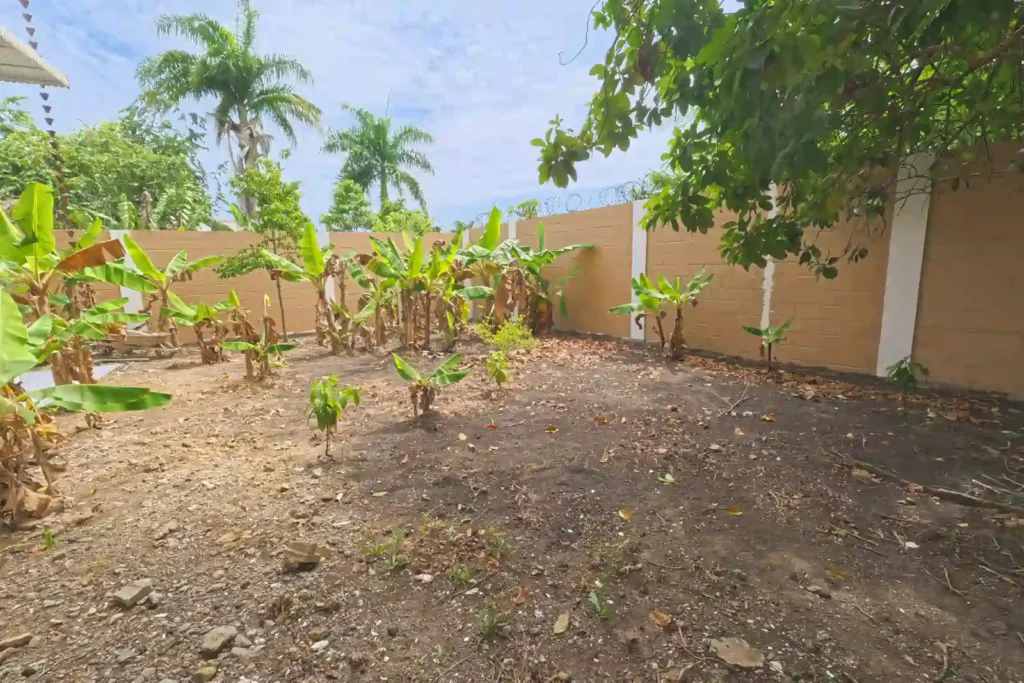 casa en ves venta