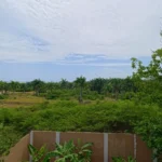 Vista al jardín de una casa en venta en Puerto Plata, República Dominicana.